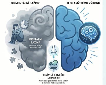 Mentální restart za 15 sekund: Jak energy sniff mění pravidla hry ve vaší hlavě