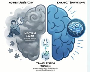 Mentálny reštart za 15 sekúnd: Ako energy sniff mení pravidlá hry vo vašej hlave